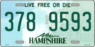 NH license plate 3789593