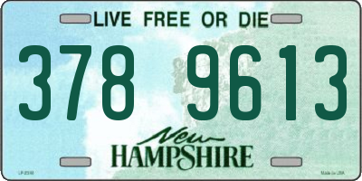 NH license plate 3789613