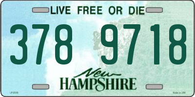 NH license plate 3789718