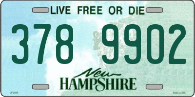 NH license plate 3789902