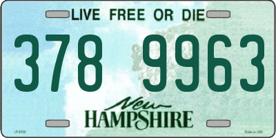 NH license plate 3789963