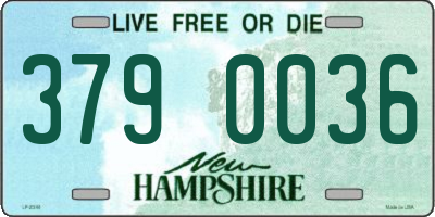 NH license plate 3790036