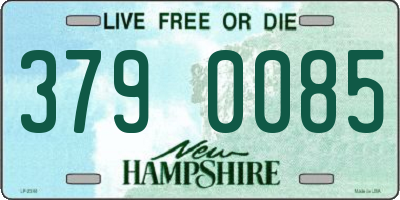 NH license plate 3790085