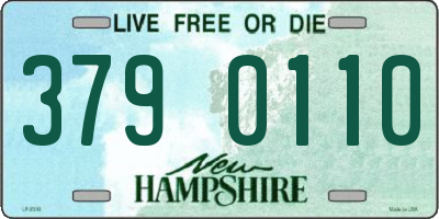 NH license plate 3790110