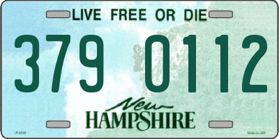 NH license plate 3790112