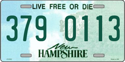 NH license plate 3790113