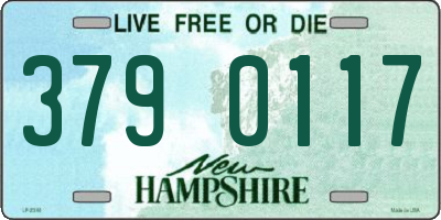 NH license plate 3790117