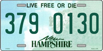 NH license plate 3790130