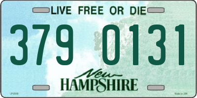 NH license plate 3790131