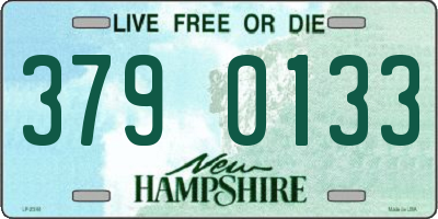 NH license plate 3790133