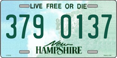 NH license plate 3790137