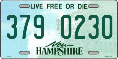 NH license plate 3790230