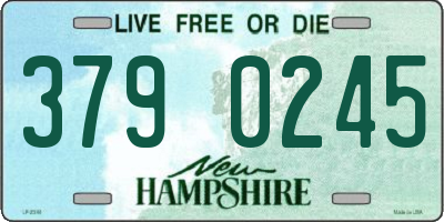 NH license plate 3790245