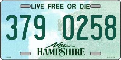 NH license plate 3790258