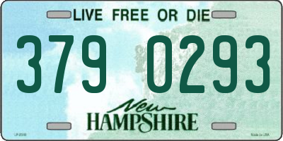 NH license plate 3790293