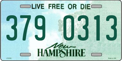 NH license plate 3790313