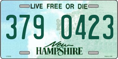 NH license plate 3790423