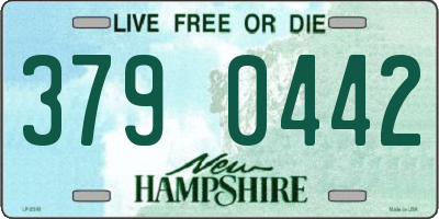 NH license plate 3790442