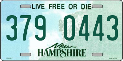 NH license plate 3790443
