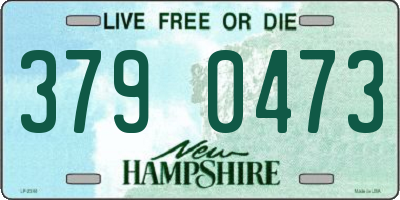 NH license plate 3790473