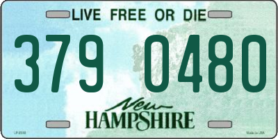 NH license plate 3790480