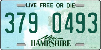 NH license plate 3790493