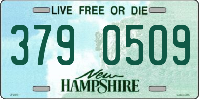 NH license plate 3790509