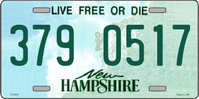 NH license plate 3790517