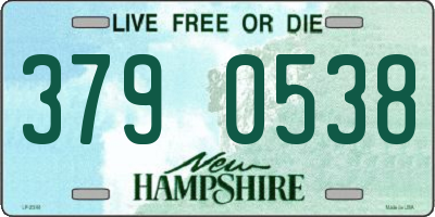 NH license plate 3790538