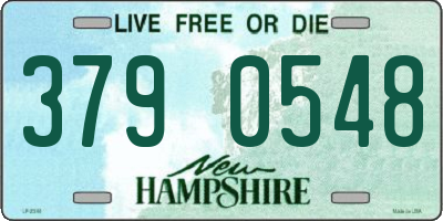 NH license plate 3790548