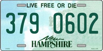 NH license plate 3790602