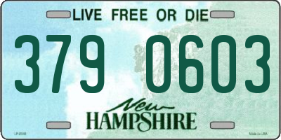 NH license plate 3790603