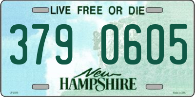 NH license plate 3790605