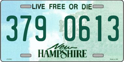 NH license plate 3790613