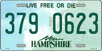 NH license plate 3790623