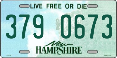 NH license plate 3790673