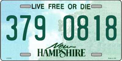 NH license plate 3790818