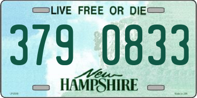 NH license plate 3790833