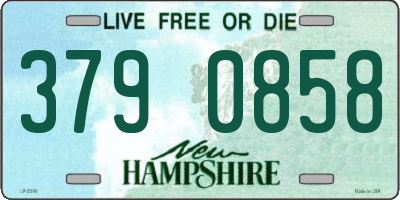 NH license plate 3790858