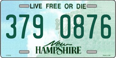 NH license plate 3790876