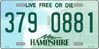 NH license plate 3790881