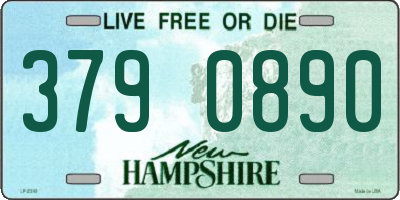 NH license plate 3790890