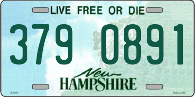 NH license plate 3790891