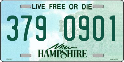 NH license plate 3790901