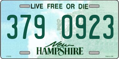 NH license plate 3790923