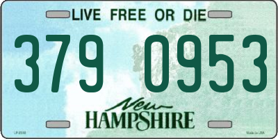 NH license plate 3790953