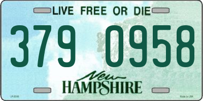 NH license plate 3790958