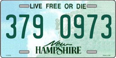 NH license plate 3790973