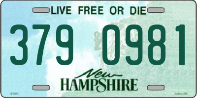 NH license plate 3790981