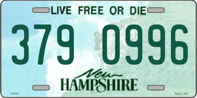 NH license plate 3790996